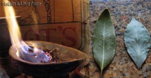 Burn-A-Bay-Leaf-In-Your-House.-The-Reason-Youll-Be-Amazed