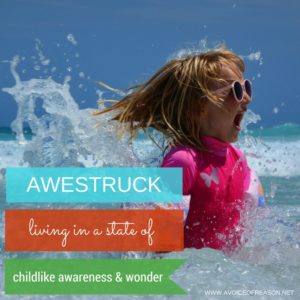 awestruck- A Voice Of Reason
