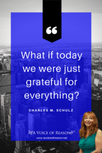 What if today we were just grateful for everything